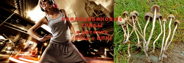 дживик Щигры