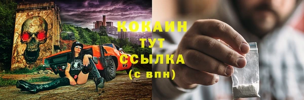 дживик Щигры