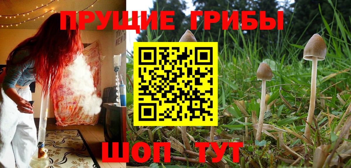 Псилоцибиновые грибы ЛСД Россия