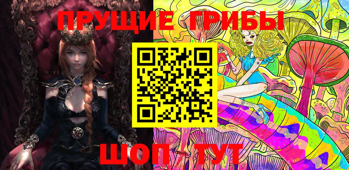 Галлюциногенные грибы Psilocybe Россия
