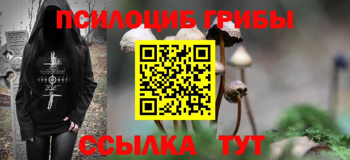 Псилоцибиновые грибы MAGIC MUSHROOMS  Псилоцибиновые грибы прущие грибы  Россия 