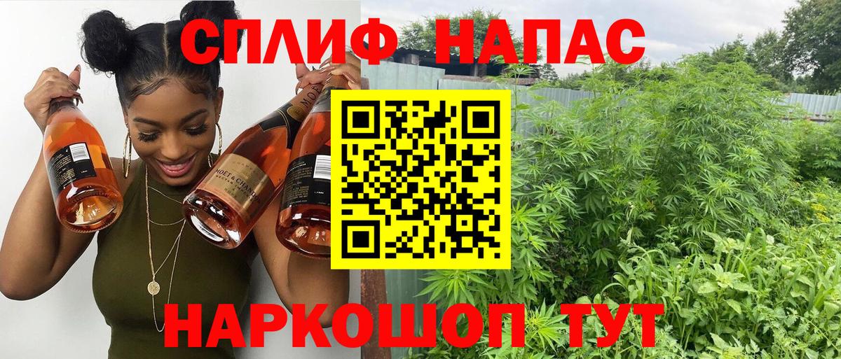 Каннабис гибрид Россия